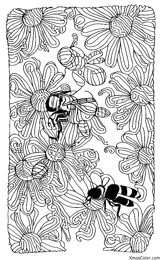 Noël / Bourdon: Les abeilles collectant le pollen des fleurs