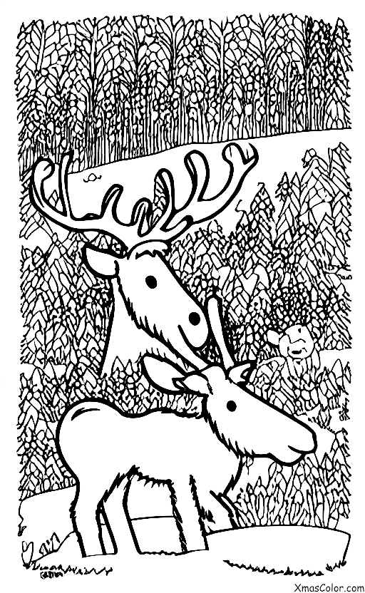 Noël / Donner: Donner mange dans la neige