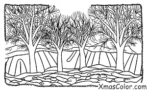 Noël / Neige: Pays des Merveilles d'hiver