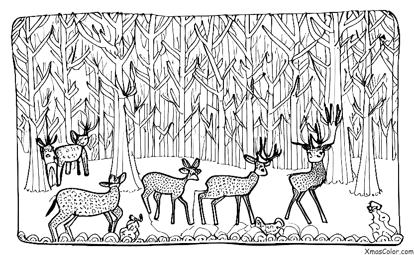 Noël / Noël en montagne: Une famille de cerfs profitant du paysage hivernal